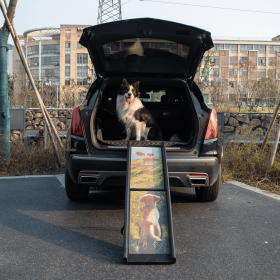 Folding Dog Ramp for Trucks SUVs, Portable Climbing Dog Car Ramp with Nonslip Traction and Extendable Support Legs, Dog Steps Up to 200 LBS